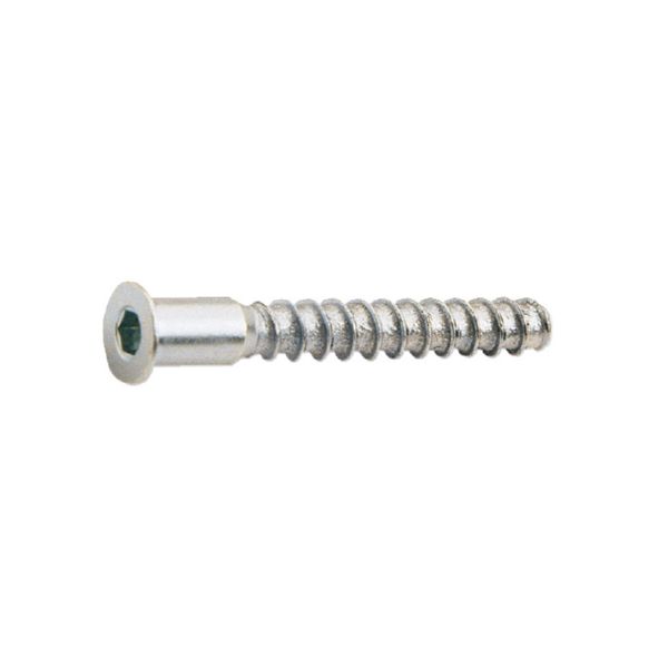 Tornillo ensamblar EHS