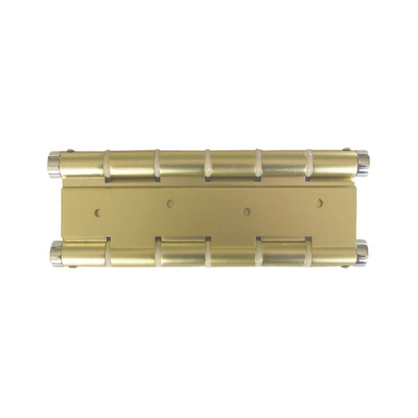 BISAGRA D/ACCION F3 ORO 57003
